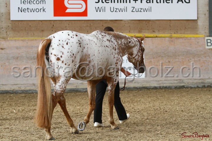 24-ApHC HIH_046.jpg